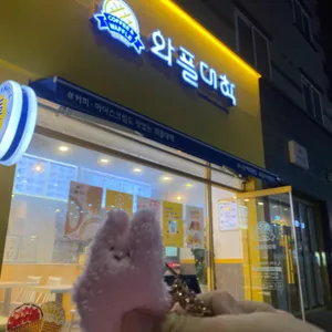 와플대학 대표 사진