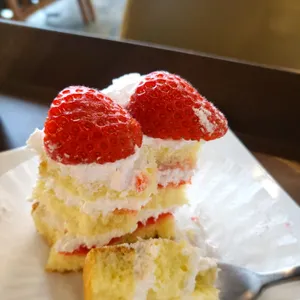 알투라 사진