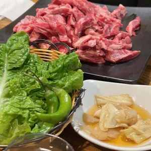 문화촌갈매기 사진