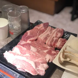 거북이동네 사진