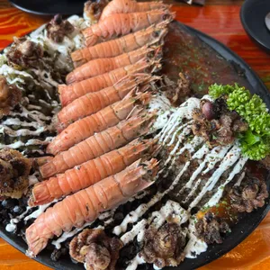 타코밤 사진