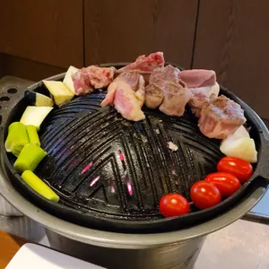 월양 사진
