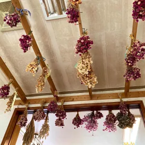 선흘곶 리뷰 사진