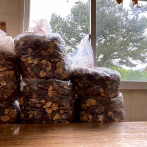 선흘곶 리뷰 사진