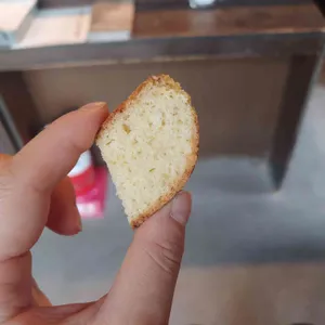 폴앤폴리나 사진