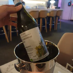바인 리뷰 사진