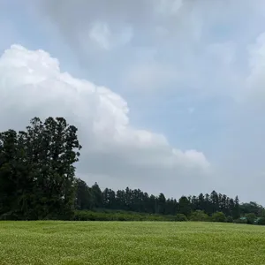 볼스 카페 리뷰 사진