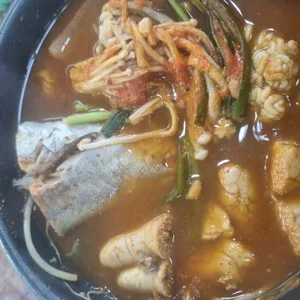 손가동태 사진