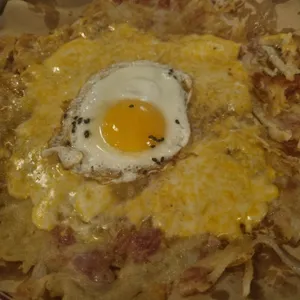 전문가 사진