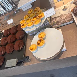 오프커스 리뷰 사진