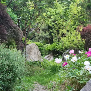 무고레 리뷰 사진