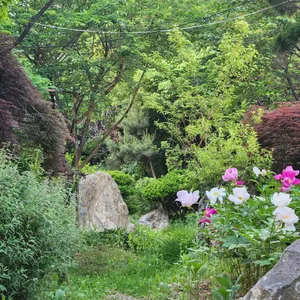 무고레 리뷰 사진
