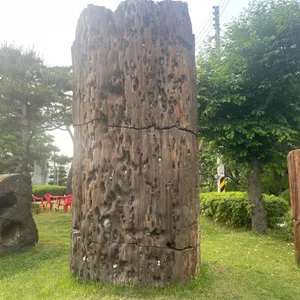 무고레 리뷰 사진