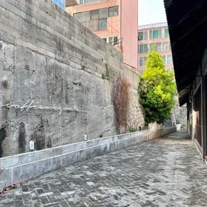 메그네이트 리뷰 사진