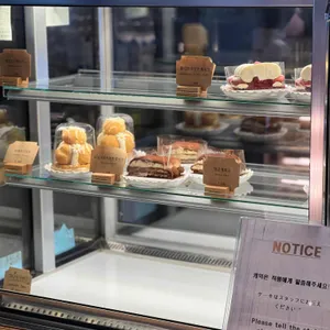 메그네이트 리뷰 사진