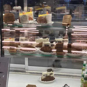 메그네이트 리뷰 사진