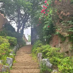 엘파인 리뷰 사진