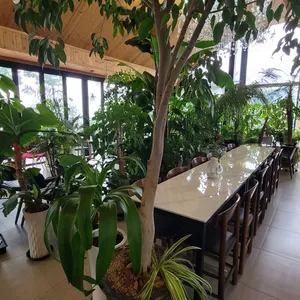 엘파인 리뷰 사진