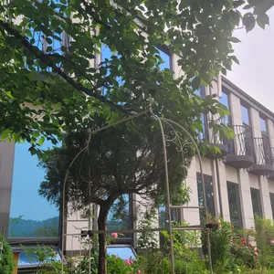 엘파인 리뷰 사진