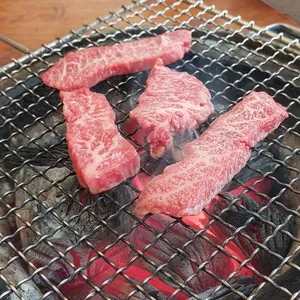 보문한우 사진