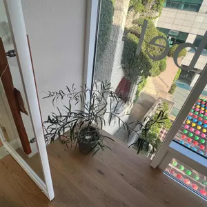 cafe comfort 리뷰 사진