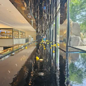 엔제리너스 리뷰 사진