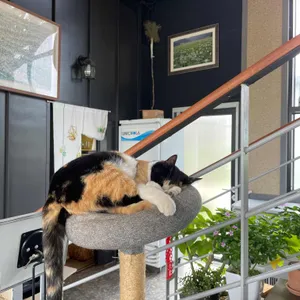 카페마카 대표 사진