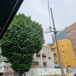 하이타이 리뷰 사진