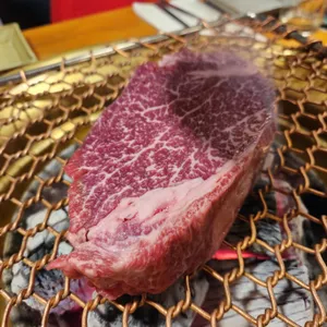 소풍 사진