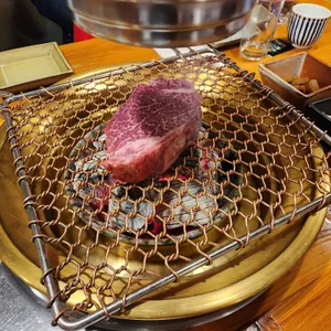 소풍 사진