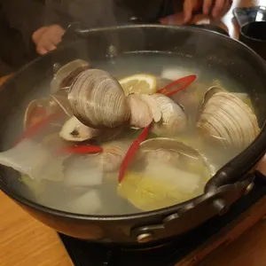 나무 사진
