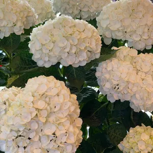 더츠커피팩토리 사진