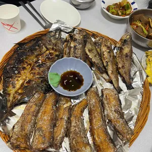 솔밭 사진