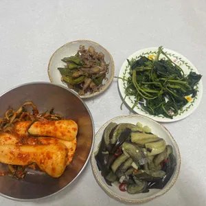 솔밭 사진