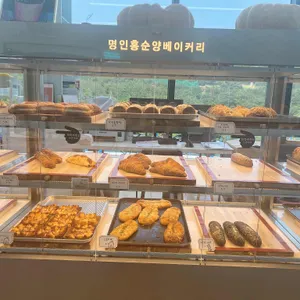 신불산에봄 사진