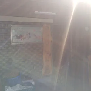 전주식당 리뷰 사진