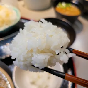 카츠고엔 리뷰 사진