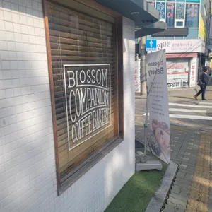 블라썸컴패니언 리뷰 사진