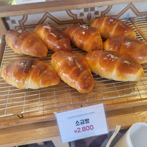 블라썸컴패니언 리뷰 사진