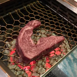 백미우 사진