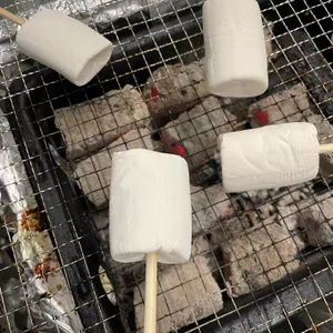 대석288 사진
