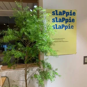 슬랩파이 리뷰 사진