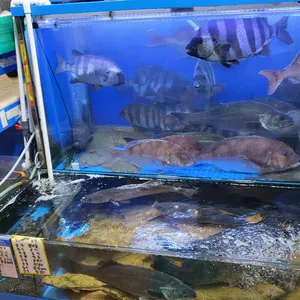 공주상회 리뷰 사진