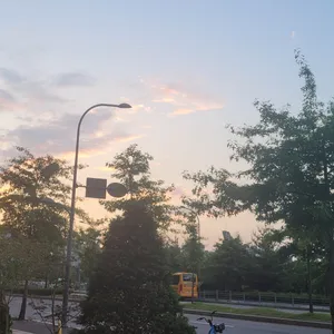 솥고집 리뷰 사진