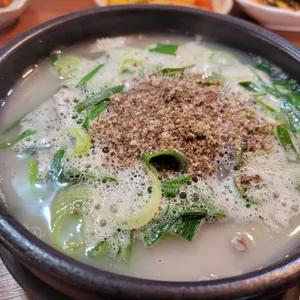 제주대통 사진