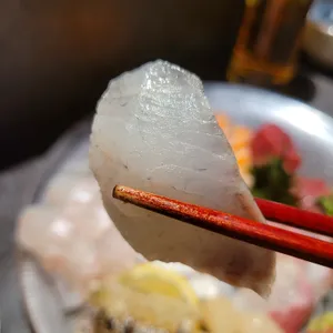 고래와 리뷰 사진
