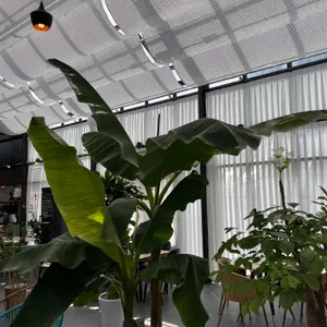 캠브런치 리뷰 사진