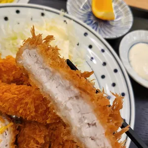 한스카츠 사진
