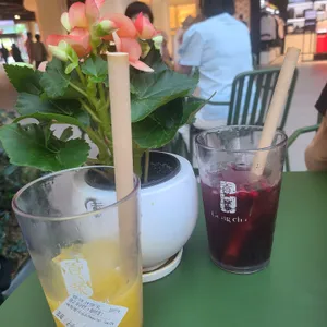공차 사진