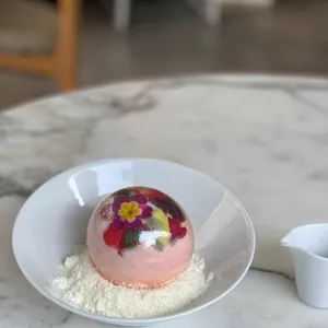 소나 사진
